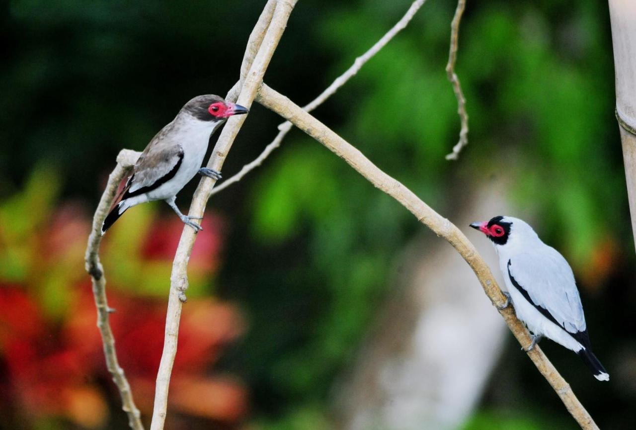 ホテル Ecobiosfera カテマコ エクステリア 写真