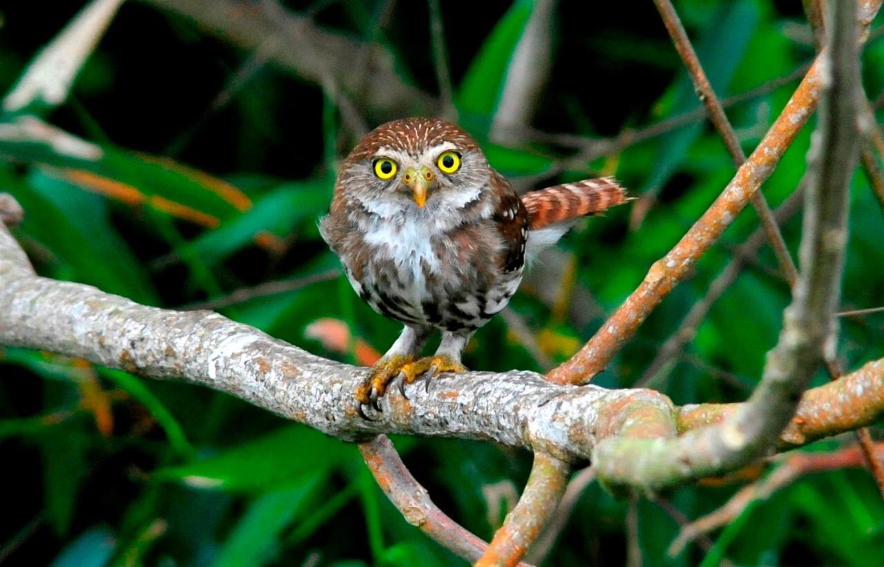 ホテル Ecobiosfera カテマコ エクステリア 写真