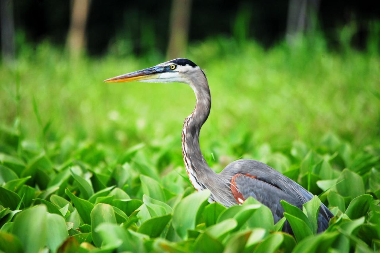 ホテル Ecobiosfera カテマコ エクステリア 写真