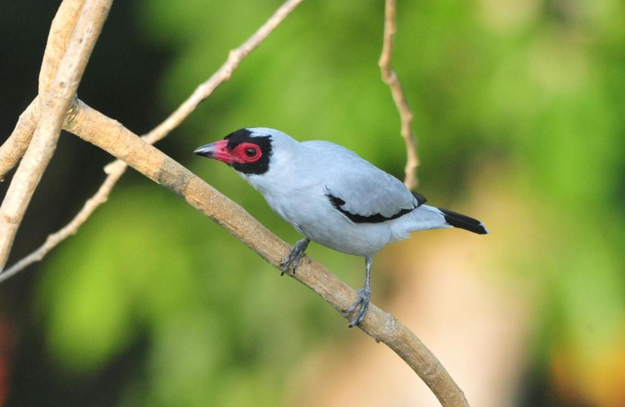 ホテル Ecobiosfera カテマコ エクステリア 写真