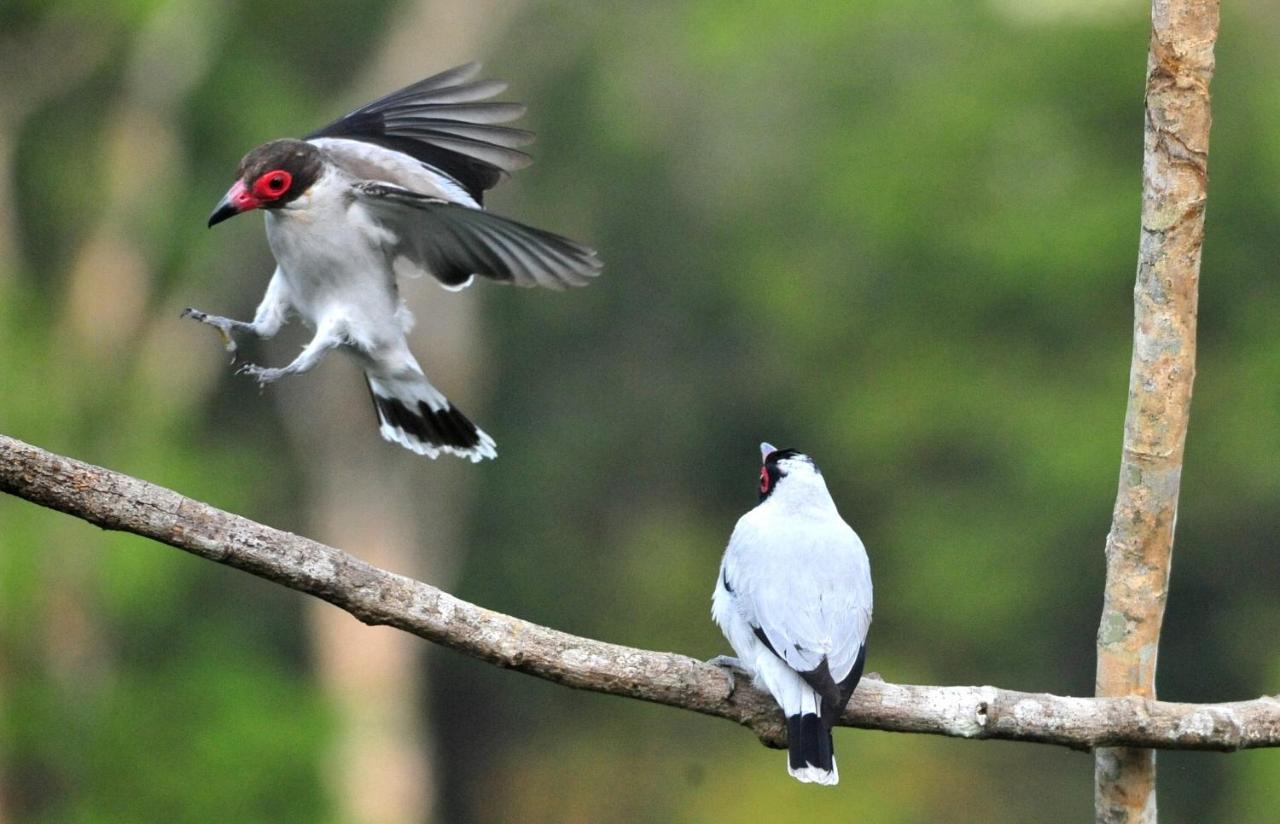 ホテル Ecobiosfera カテマコ エクステリア 写真