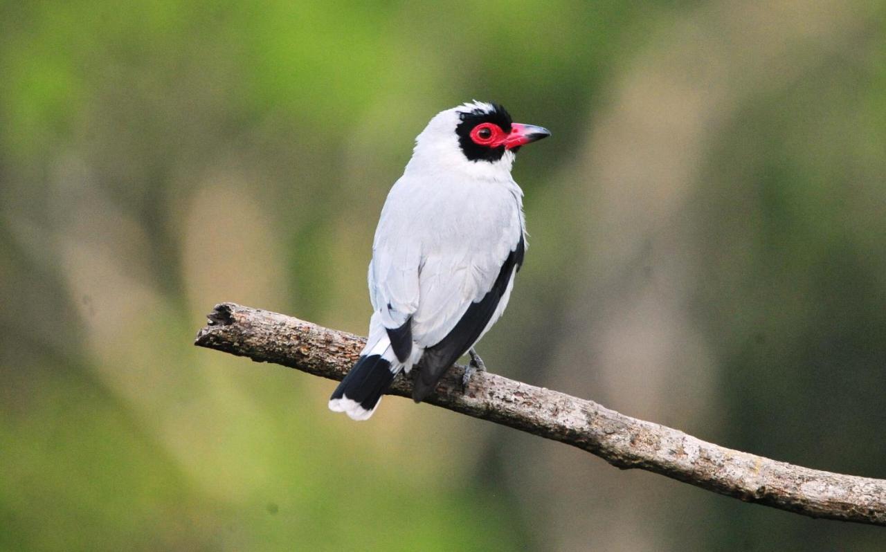 ホテル Ecobiosfera カテマコ エクステリア 写真