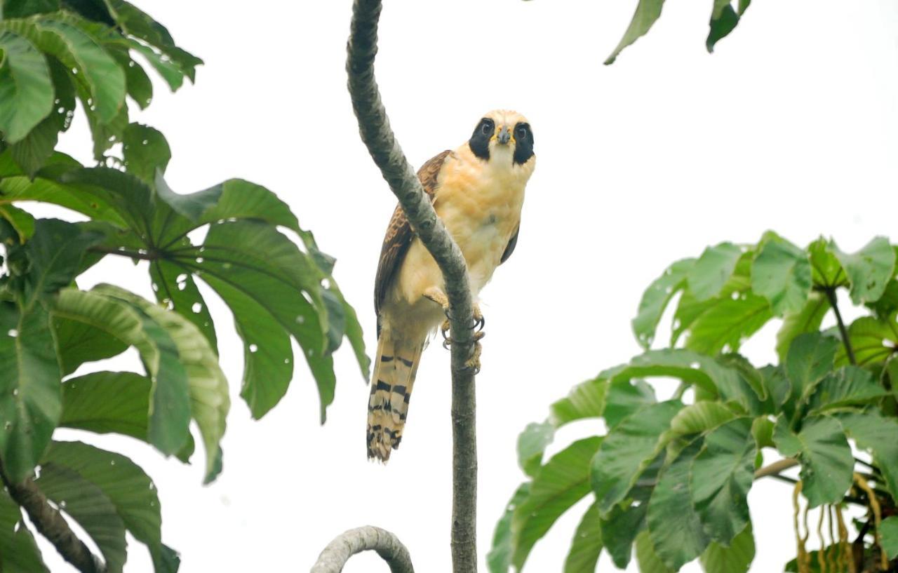 ホテル Ecobiosfera カテマコ エクステリア 写真