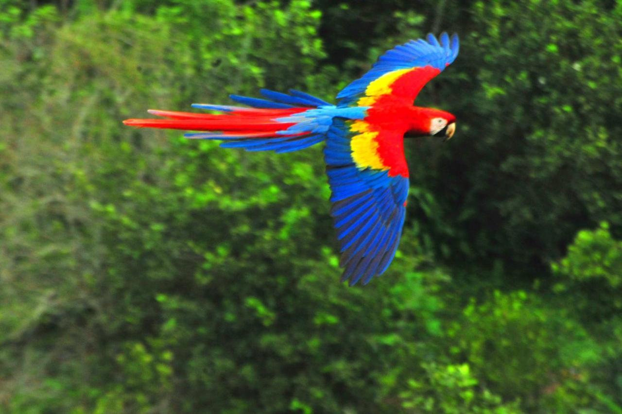 ホテル Ecobiosfera カテマコ エクステリア 写真