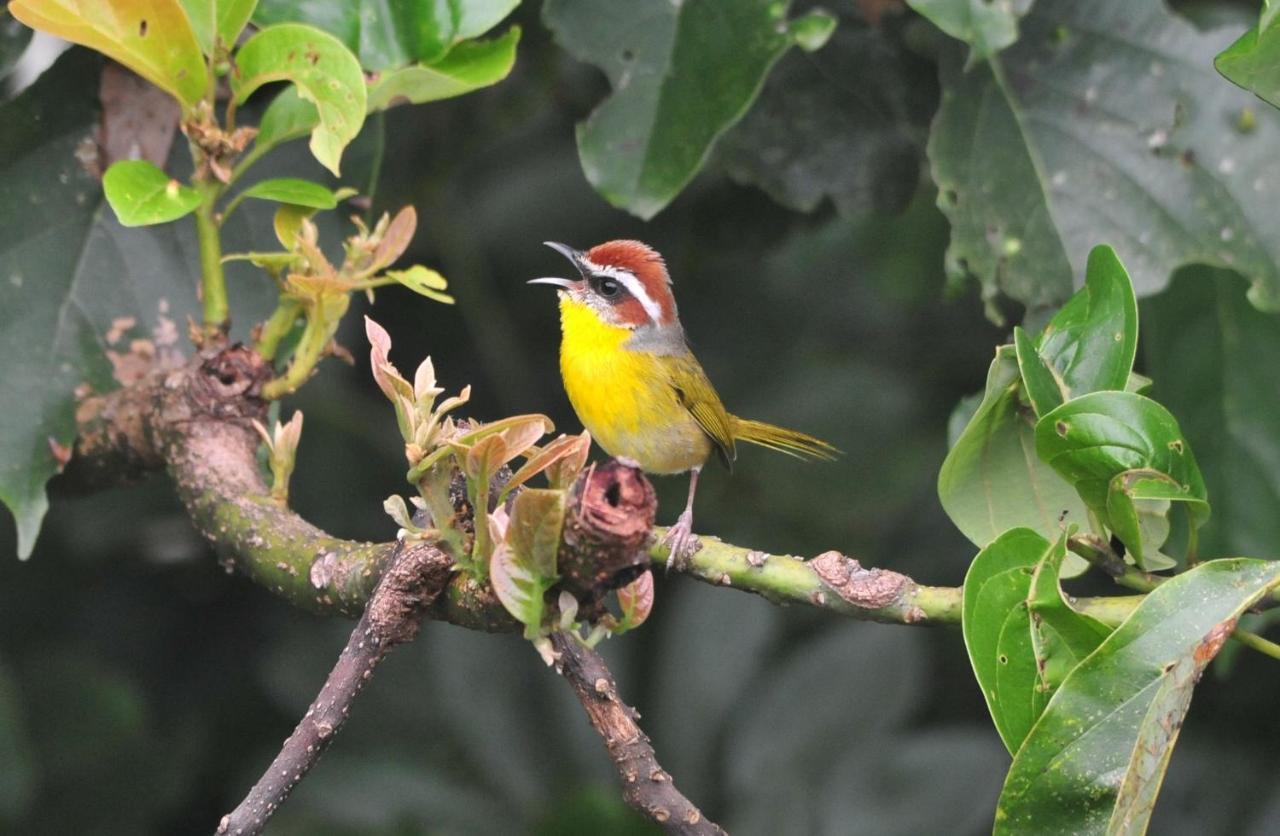 ホテル Ecobiosfera カテマコ エクステリア 写真