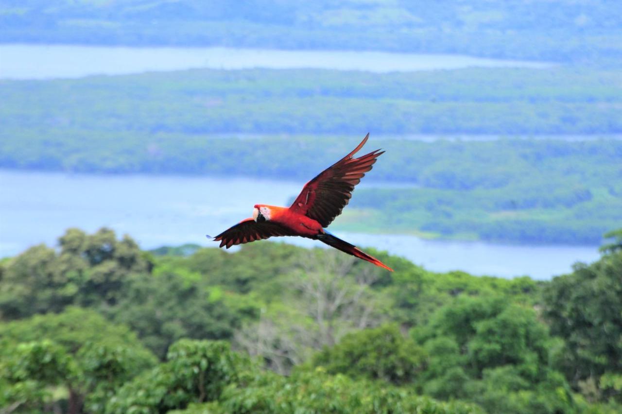 ホテル Ecobiosfera カテマコ エクステリア 写真