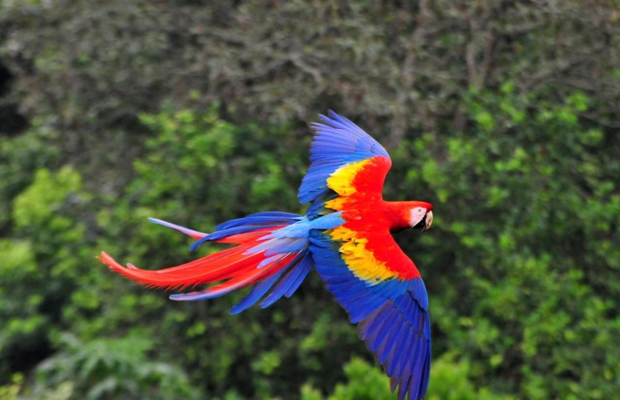 ホテル Ecobiosfera カテマコ エクステリア 写真