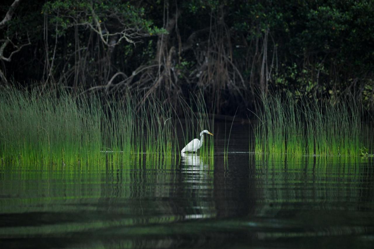 ホテル Ecobiosfera カテマコ エクステリア 写真