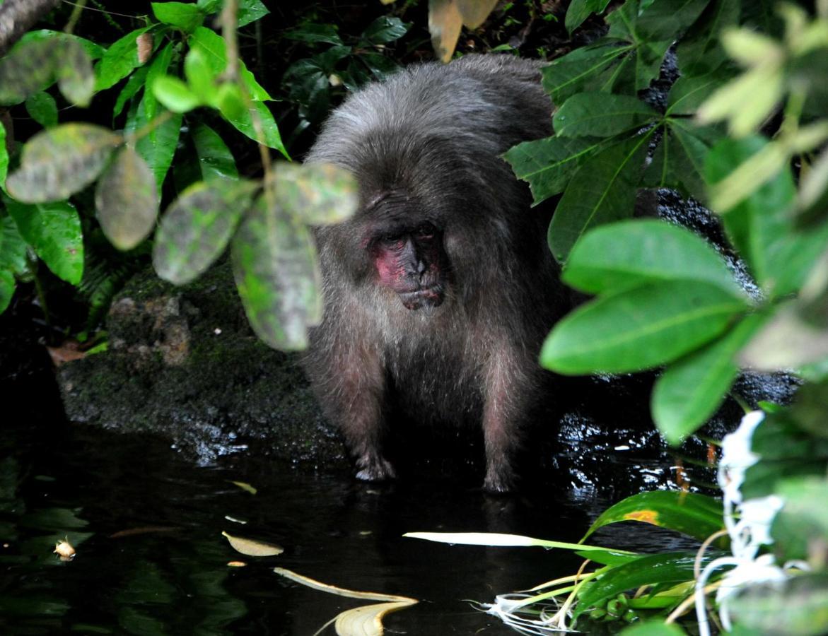 ホテル Ecobiosfera カテマコ エクステリア 写真