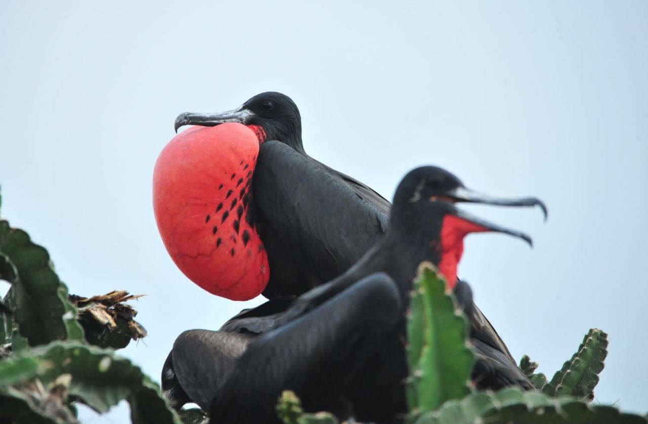 ホテル Ecobiosfera カテマコ エクステリア 写真